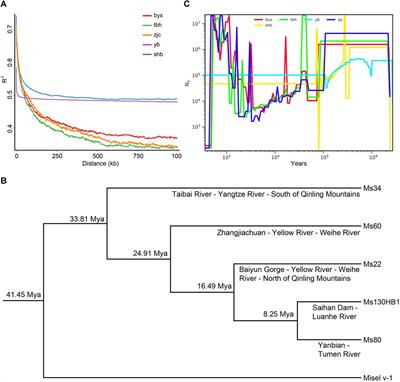 Population genomic analysis reveals genetic divergence and adaptation in Brachymystax lenok